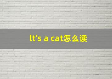 lt's a cat怎么读